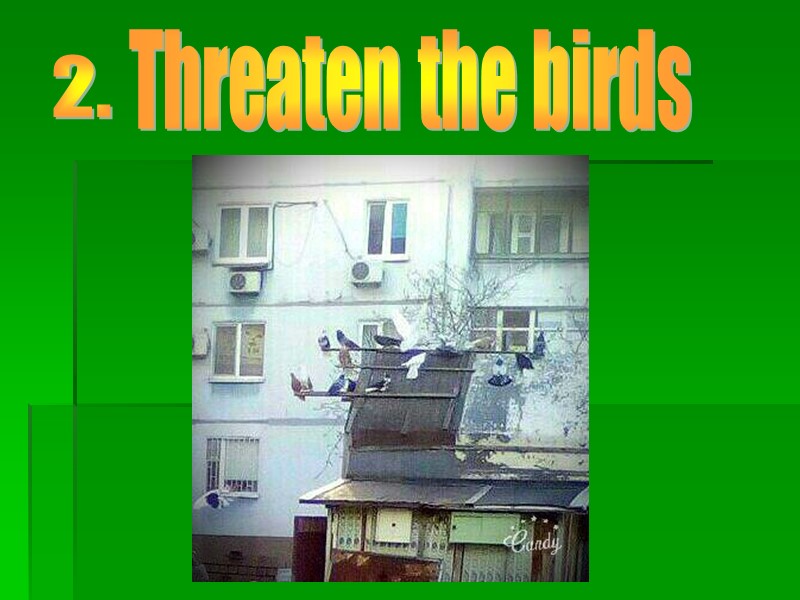 Threaten the birds 2.